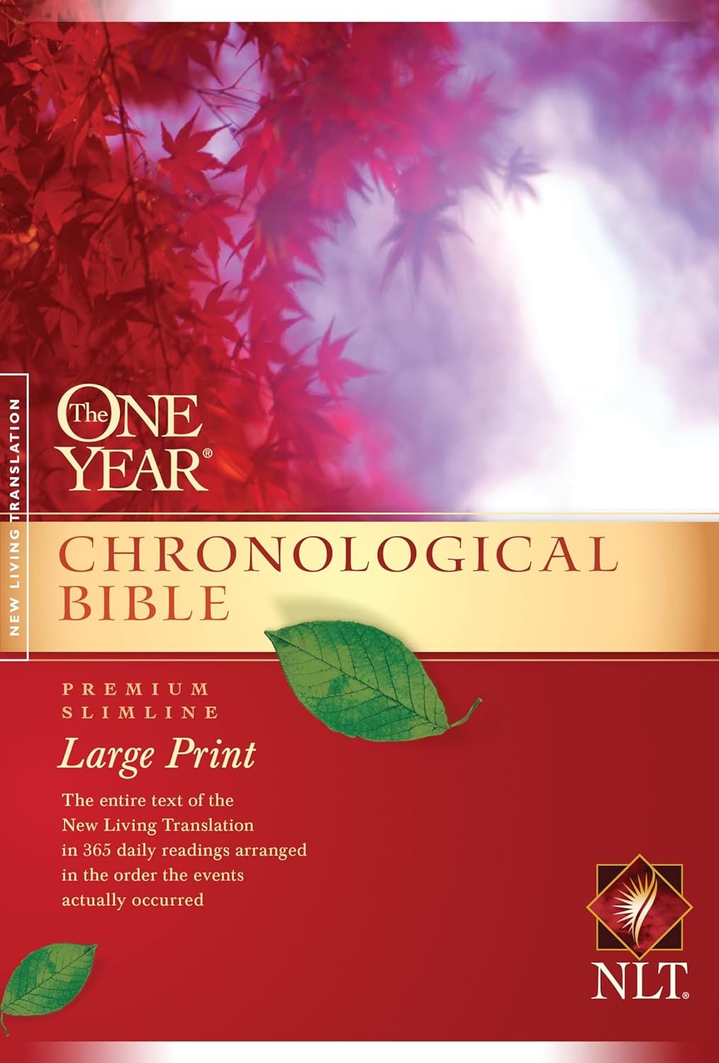 chronological bible