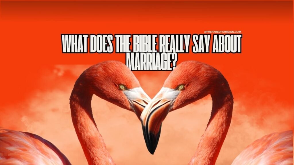 What Does the Bible REALLY Say About Marriage?